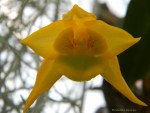 DSCN7340.JPG