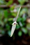 DSC_4715.JPG
