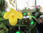 IMG_1488.JPG