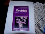 orchideje 1301.jpg