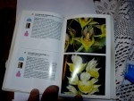 orchideje 1302.jpg