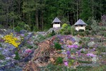 Arboretum Makču Pikču Paseka.jpg