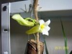 100_3991.JPG
