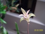 100_1921.JPG