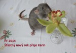 PF 2014.jpg