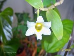 100_4147.JPG