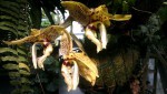 Stanhopea assidensis 2.JPG