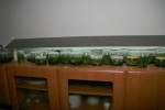 IMG_3905  Storage flasks.jpg