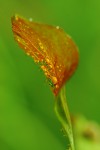 IMG_8732.jpg