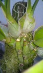 WP_20151208_006.jpg