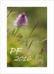 PF2016orch.jpg
