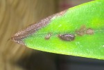 WP_20160204_005.jpg