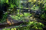 akvarium03-forum.jpg