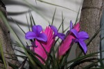 20160314_3.jpg