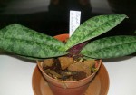 WP_20160403_021.jpg
