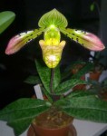 WP_20160408_011.jpg