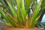 WP_20160423_027.jpg