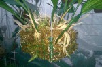 WP_20160530_008.jpg