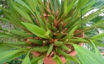 WP_20160604_015.jpg
