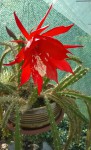 WP_20160609_001a.jpg