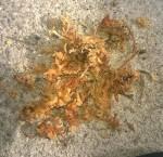 WP_20160930_012.jpg