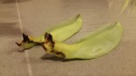 20170212_174515sm.jpg