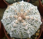 WP_20170520_019.jpg
