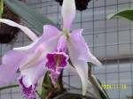 100_2404.JPG