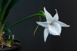 DSC_2159.jpg