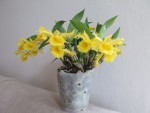 d.harveyanum.jpg