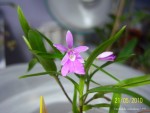 100_5187.JPG