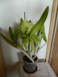 DSCN3004.jpg