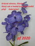 pf 2020.jpg