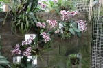 IMG_0257   MZLU.jpg