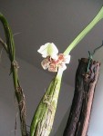 IMG_1206.JPG