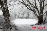 PF2021-web.jpg