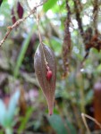 DSC06324.JPG