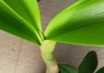 IMG20250718173142x.jpg