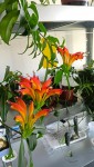 IMG20250920122132x.jpg