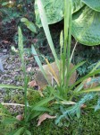 září2010 007.jpg