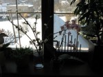 IMG_4306_resize.JPG