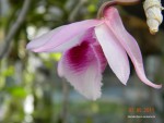 DSCN2374.JPG