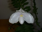 květen 2011 046.jpg