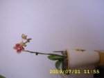 STA46128.JPG