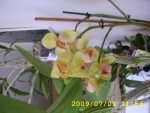 STA46131.JPG
