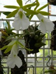 DSCN2710.JPG