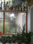 300620111034.jpg