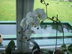 PICT0054.JPG