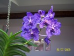 100_3054.JPG