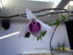 100_3131.JPG